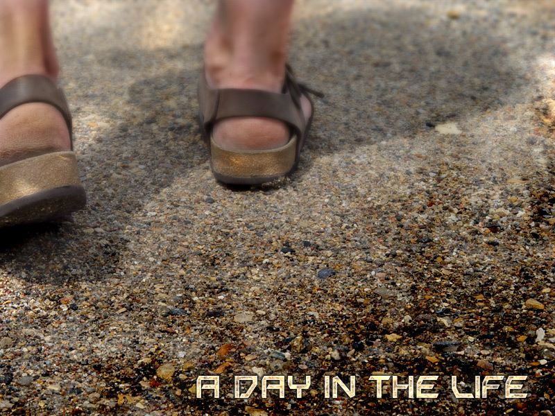 a-day-in-the-life.jpg